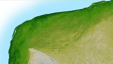 Image radar du cratère de Chicxulub (Yucatán, Mexique)